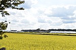 20161432 JungbeeAn.jpg 20161432 JungbeeAn.jpg
